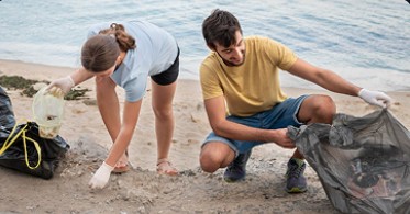 Turtle Rescue Mission